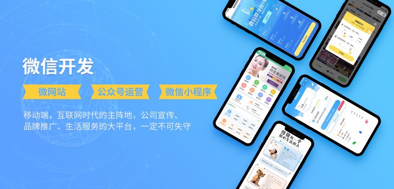 上海软件开发公司怎么选？从定制系统到数字化转型的全流程指南